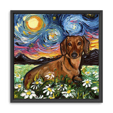 Brown Dachshund Night 2