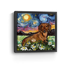 Brown Dachshund Night 2