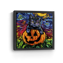 Halloween Kitten Night