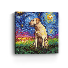 Yellow Labrador Night