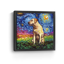 Yellow Labrador Night