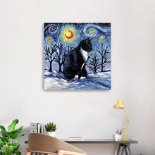 Winter Night - Tuxedo Cat