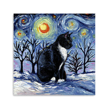 Winter Night - Tuxedo Cat