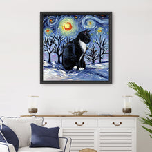 Winter Night - Tuxedo Cat