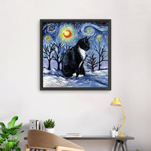 Winter Night - Tuxedo Cat