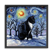 Winter Night - Tuxedo Cat