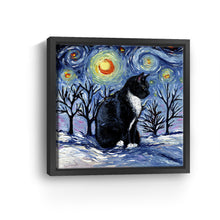 Winter Night - Tuxedo Cat