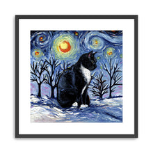 Winter Night - Tuxedo Cat