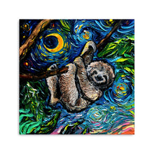Sloth Starry Night