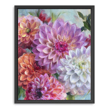 Dahlias