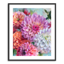 Dahlias