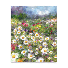 Daisy Meadow
