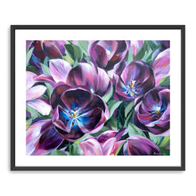 Purple Tulips