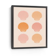 Blush Shells