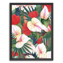 Anthurium