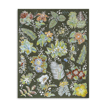 Native Plants of Hawaii