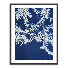 Chinese Elm Triptych I