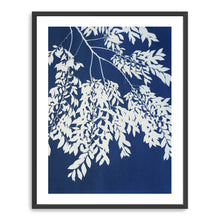 Chinese Elm Triptych II