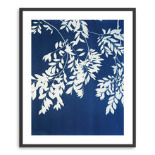 Chinese Elm Triptych III