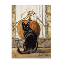 Black Cat Pumpkin