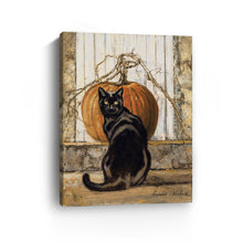 Black Cat Pumpkin
