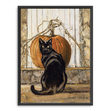 Black Cat Pumpkin