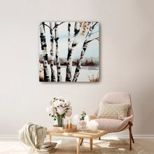 Birch Tree in Snowy Field
