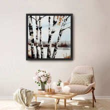 Birch Tree in Snowy Field