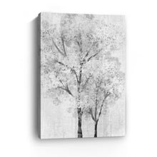 Black and & White Tree