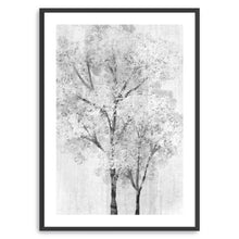 Black and & White Tree