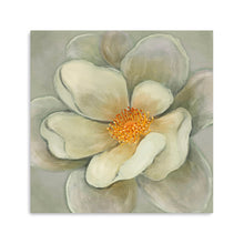 Nature's Masterpiece