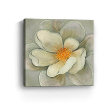 Nature's Masterpiece