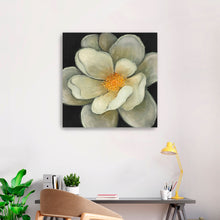 Nature's Masterpiece II