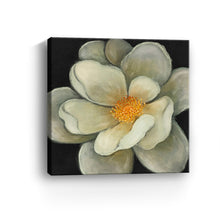 Nature's Masterpiece II