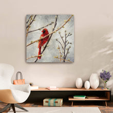 Hollow bones in Winter