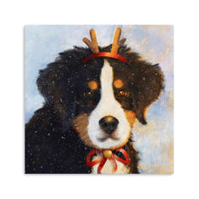 Woof! I'm a Reindeer