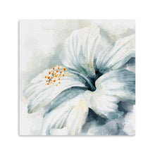 Ivory Petal Whispers