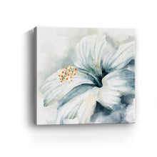 Ivory Petal Whispers