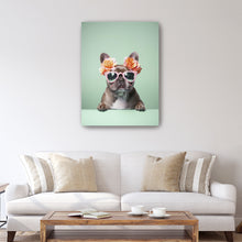 Fashionable Frenchie