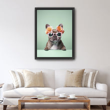 Fashionable Frenchie