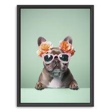 Fashionable Frenchie
