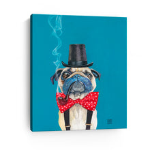 Pug Gentleman