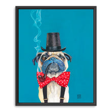 Pug Gentleman