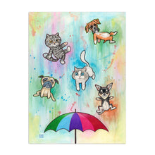Raining Cats And Dogs