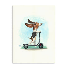 Basset on Wheels