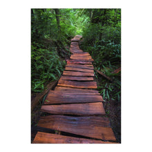 Path of the Righteous