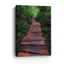 Path of the Righteous