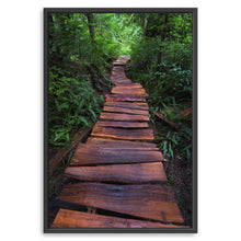 Path of the Righteous