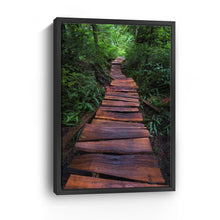 Path of the Righteous