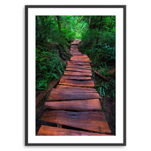 Path of the Righteous